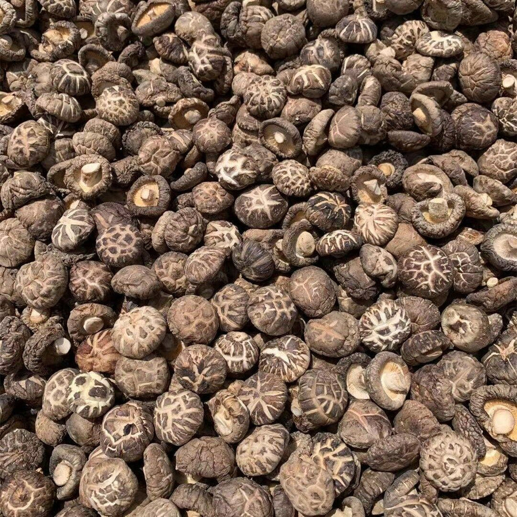 Premium Dried Tea Flower Edible Mushroom Chinese Herbal Fungi Bag Package 250g