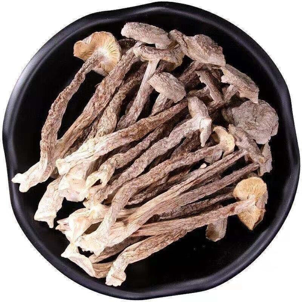 Premuim Deep Mountain Edible Fungi Dried Velvet Mushroom Antler Mushroom 250g