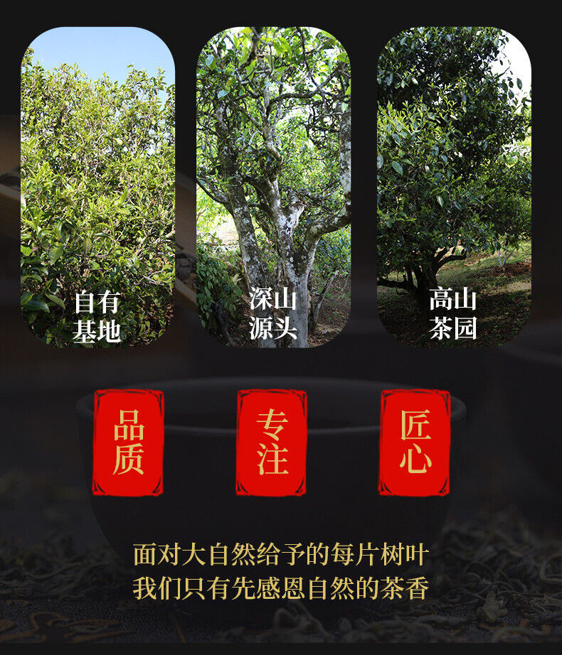 Imperial Golden Sprout Ancient Tree Pu'er Mature Tea Premium Loose Tea 120g