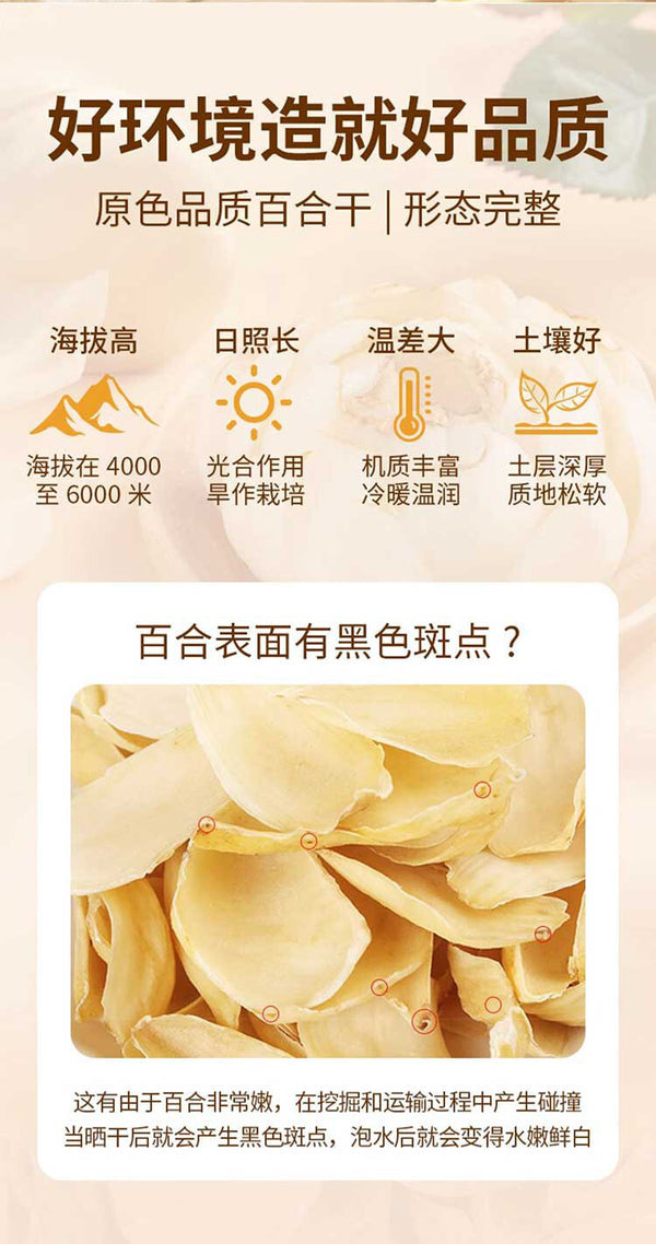 Dried Lily Bulbs 120g Premium Quality Fresh New Harvest in Jar Packaging