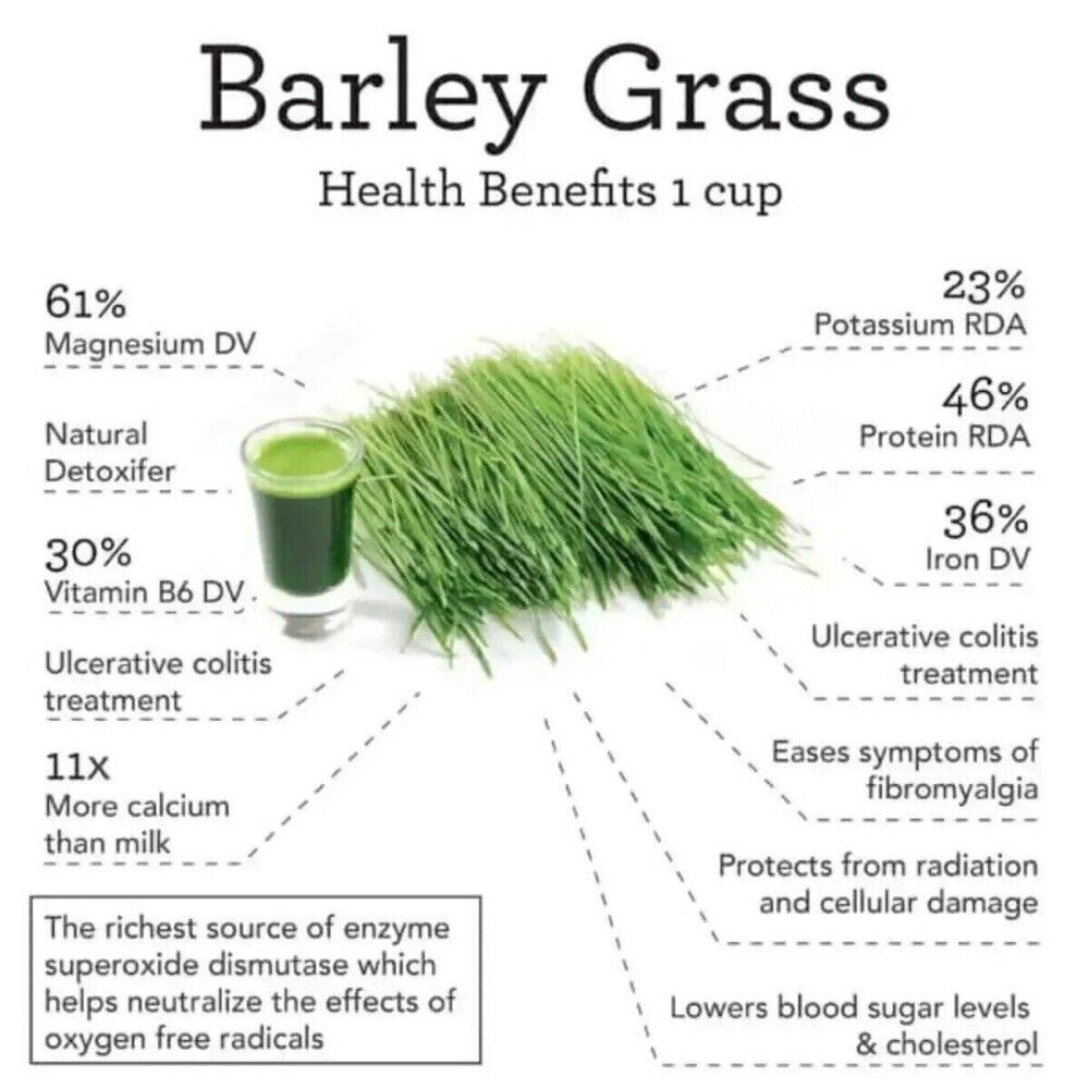 Navitas Organic Barley Grass Powder 3gx20 Pure Natural 1/2/3 Box