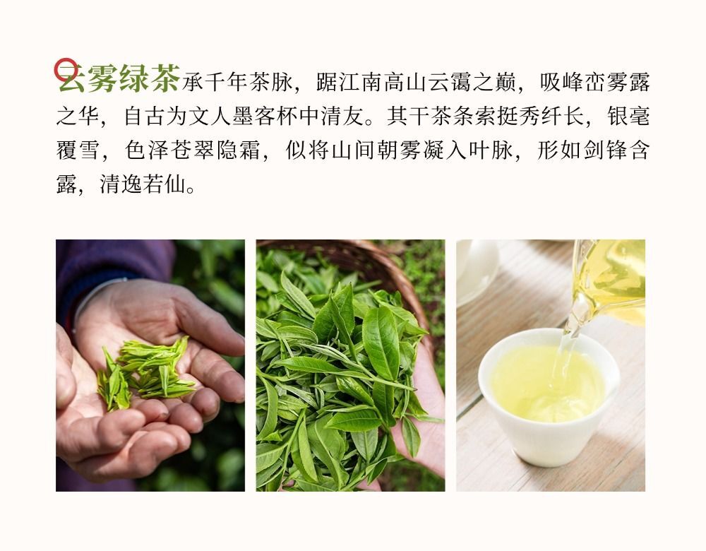 Premium High Mountain Cloud Mist Green Tea 2025 Spring Loose Leaf
