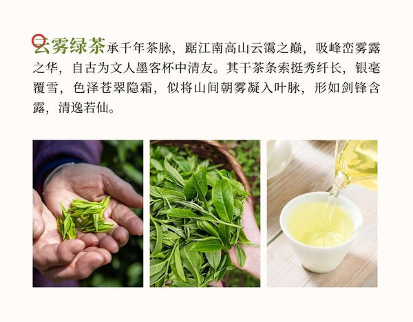 Premium High Mountain Cloud Mist Green Tea 2025 Spring Loose Leaf