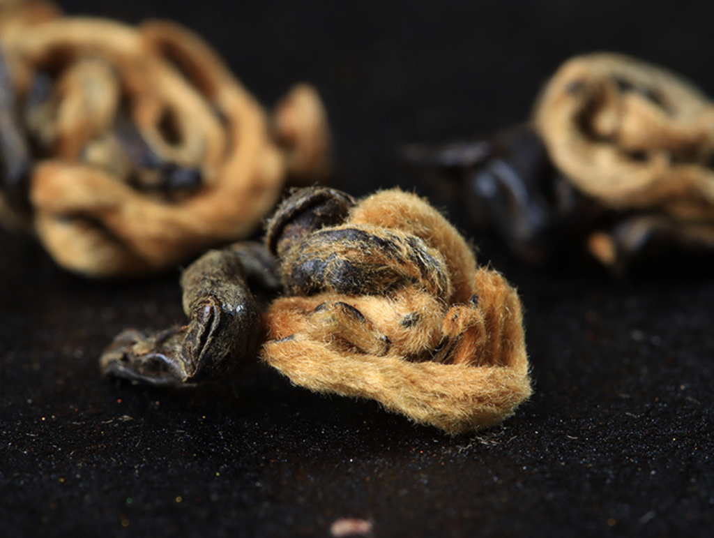 500g Yunnan Ancient Black Tea Golden Silk Golden Snail Fengqing Dian Hong Tea