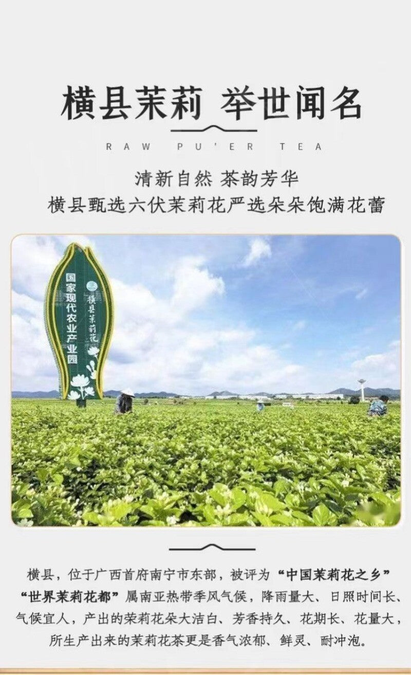 Premium Xiangerte Jasmine Tea 250g Fragrant Black Pine Needle Tea 2025 New