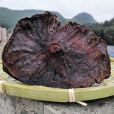 Jiu Zheng Jiu Shai Wild Dried Tuber Fleeceflower Root, Radix Polygoni Multiflori