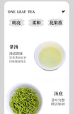 2025 Mingqian Biluochun Green Tea Premium Fragrant Small Can Personal Gift