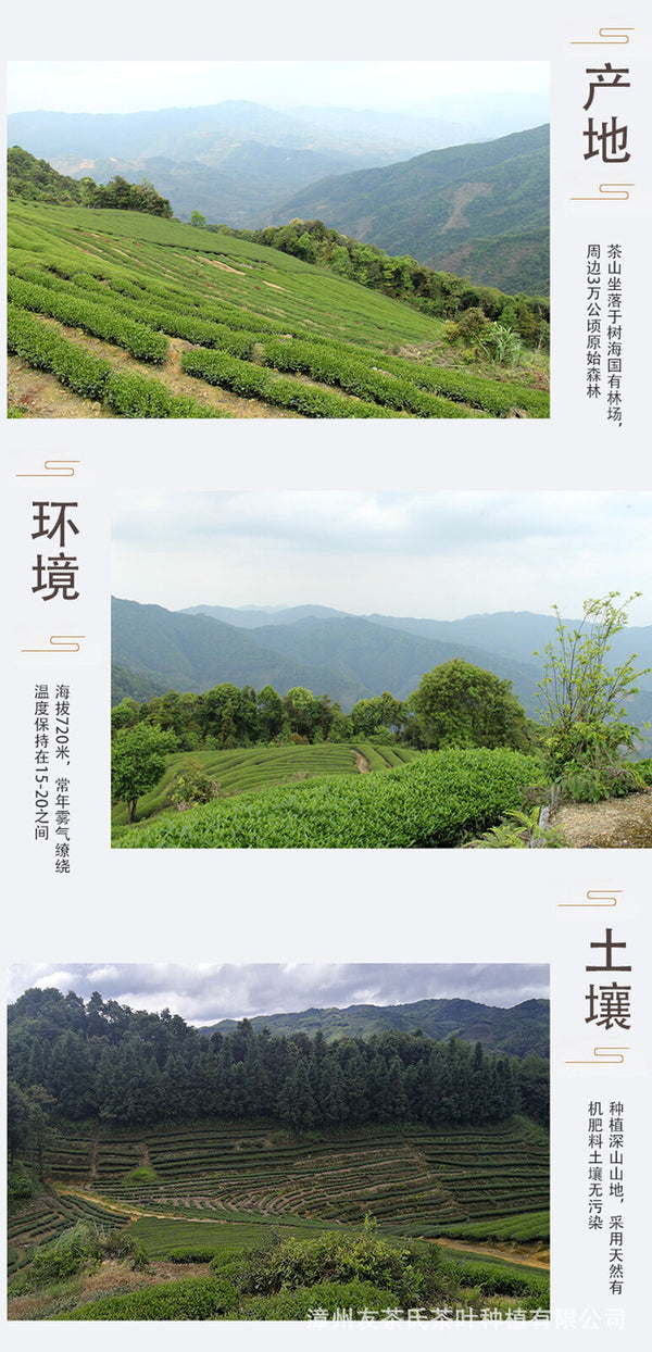 Tea Wuyi Da Hong Pao Loose Rock Tea 250g