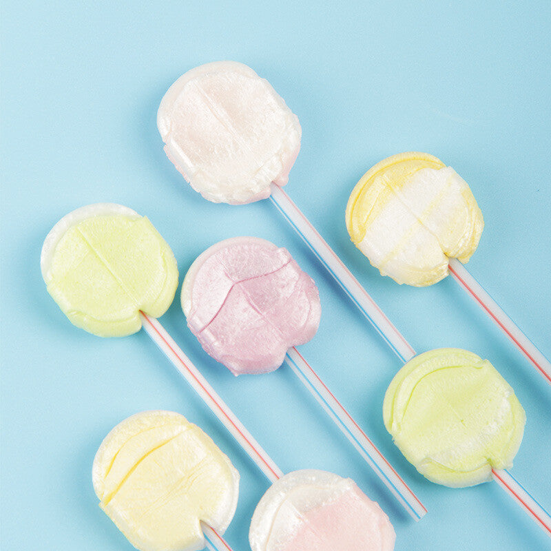 Zai Zai Lollipops Boxed Assorted Fruit Flavors Kids Nostalgic Candy Bulk Main image