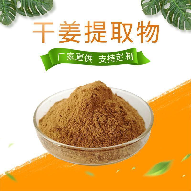 100g Dried Ginger Extract Powder Water Soluble | Warming Herb | Vegan Main image