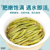 Iceland Ancient Tree Raw Pu'er Yunnan Moonlight White Tea Baekho Silver Needle