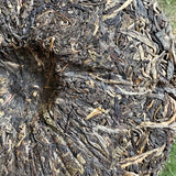 Yunnan Menghai Tea King Puerh Raw Tea Cake Changrui Grade 357g Raw Pu-erh Tea