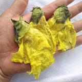Dried Abelmoschus Manihot Abelmoschi Corolla Flos Corolla of Abelmoschus Manihot