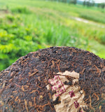 357g Puerh Tea Ripe Tea Palace Ripe Cake Golden Bud Yunnan Seven Cakes Pu'er Tea