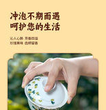 Winter Melon Lotus Leaf Tea Bags with Cassia Seed Hawthorn Chenpi Herbal Tea