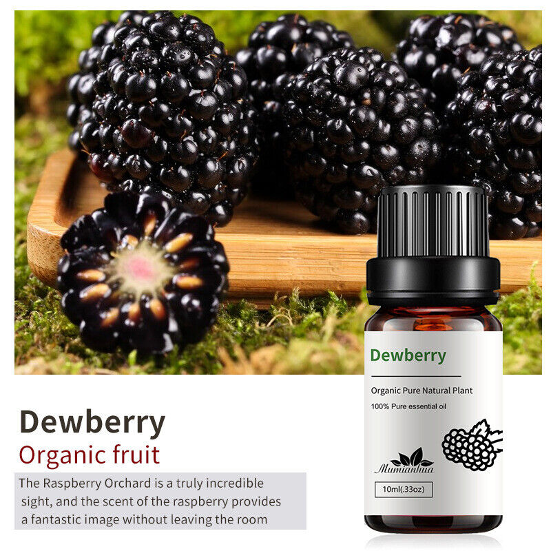 Essential Oils 100% Pure Therapeutic Oil - 20+ Options! Aromatherapy Oil 10 mL