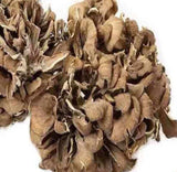 500g Natürliche getrocknete Maitake Nahrungsergänzungsmittel Grifola Frondosa
