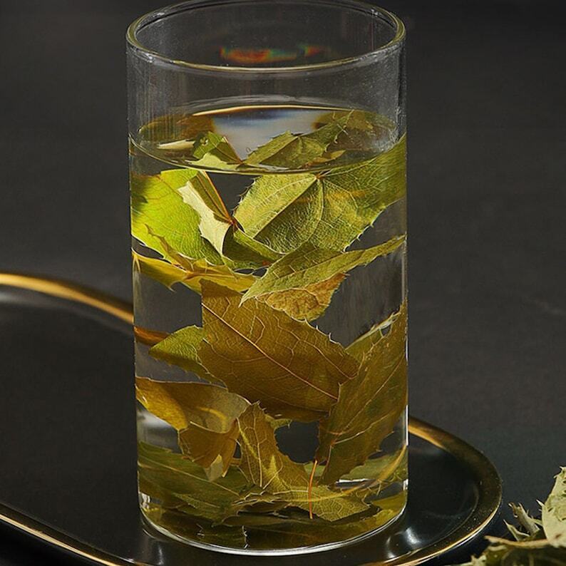 Recommend Organic Epimedium leaf, Herba Epimedii, Yin Yang Huo