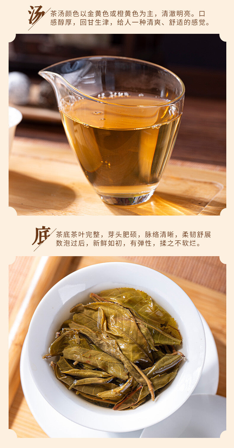 Premium Old Tree Longzhu Yunnan Pu-erh Longzhu Raw Tea Fokeng Loose Leaf