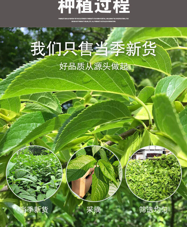 Zhangjiajie Cortex Eucommia Leaf Bulk Cortex Eucommia Herbal Tea 500g