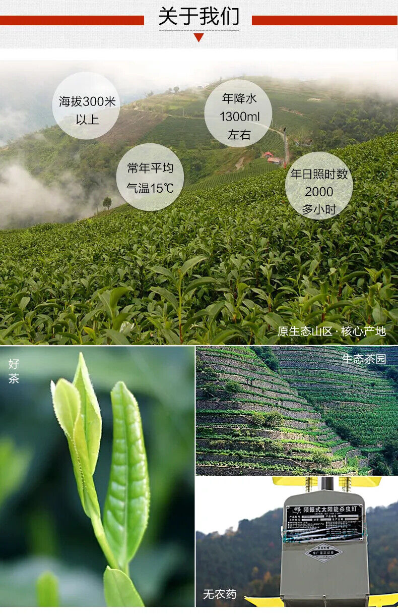 Top Grade Chinese Green Tea New Fresh Organic Naturally Health Care 100g