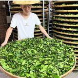 500g  Green Tea Bulk Strong Flavour Premium Anxi Tieguanyin Tea New Oolong Tea