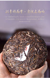 Premium Rui Gong Pu-erh Tea Raw Ripe Tea Cake Sampler Aged New Natural Healthy