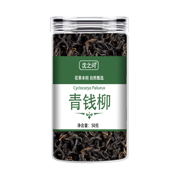 Wild Green Money Tree Tea Premium Ancient Buds Herbal Natural Blend