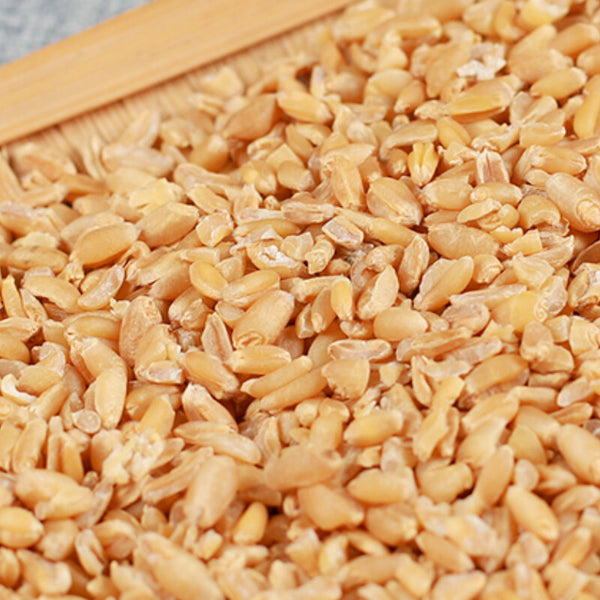 500g Original Healthy Herbal TeaSelected High-quality Healthy Herbal Wheat 精选浮小麦