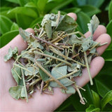 Wild Uraria Crinita Whole Herb 250g Premium Dried Traditional Chinese Medicinal