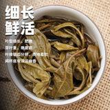 Yunnan Yiwu Ancient Tree Raw Pu-erh Tea Loose Leaf Tea Bags Premium