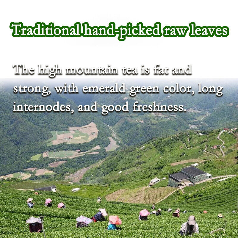 Milk Oolong Tea Super High Mountain Fragrant Green Tea Diet Tea CN Health Care