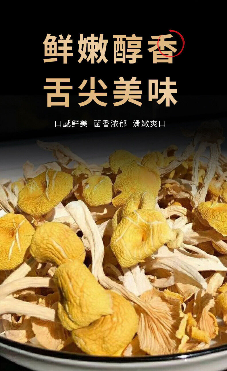 Chicken Oil Mushroom  Yunnan Specialty Yellow Silk Mushroom Soup