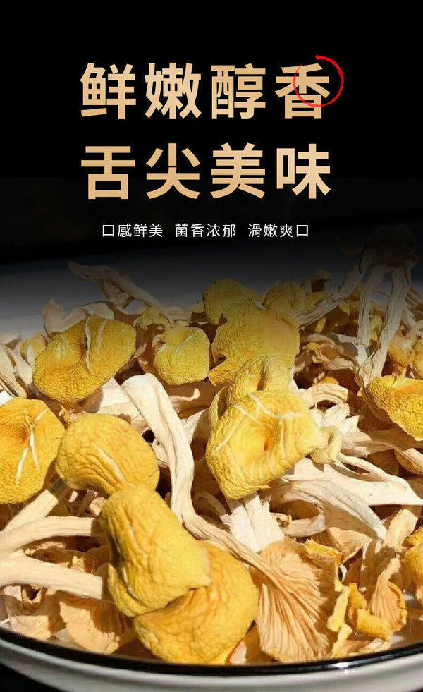 Chicken Oil Mushroom  Yunnan Specialty Yellow Silk Mushroom Soup