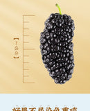 Selected Dried Mulberry Large Fruit Sand-free No-wash Mulberry Health Tea 500g