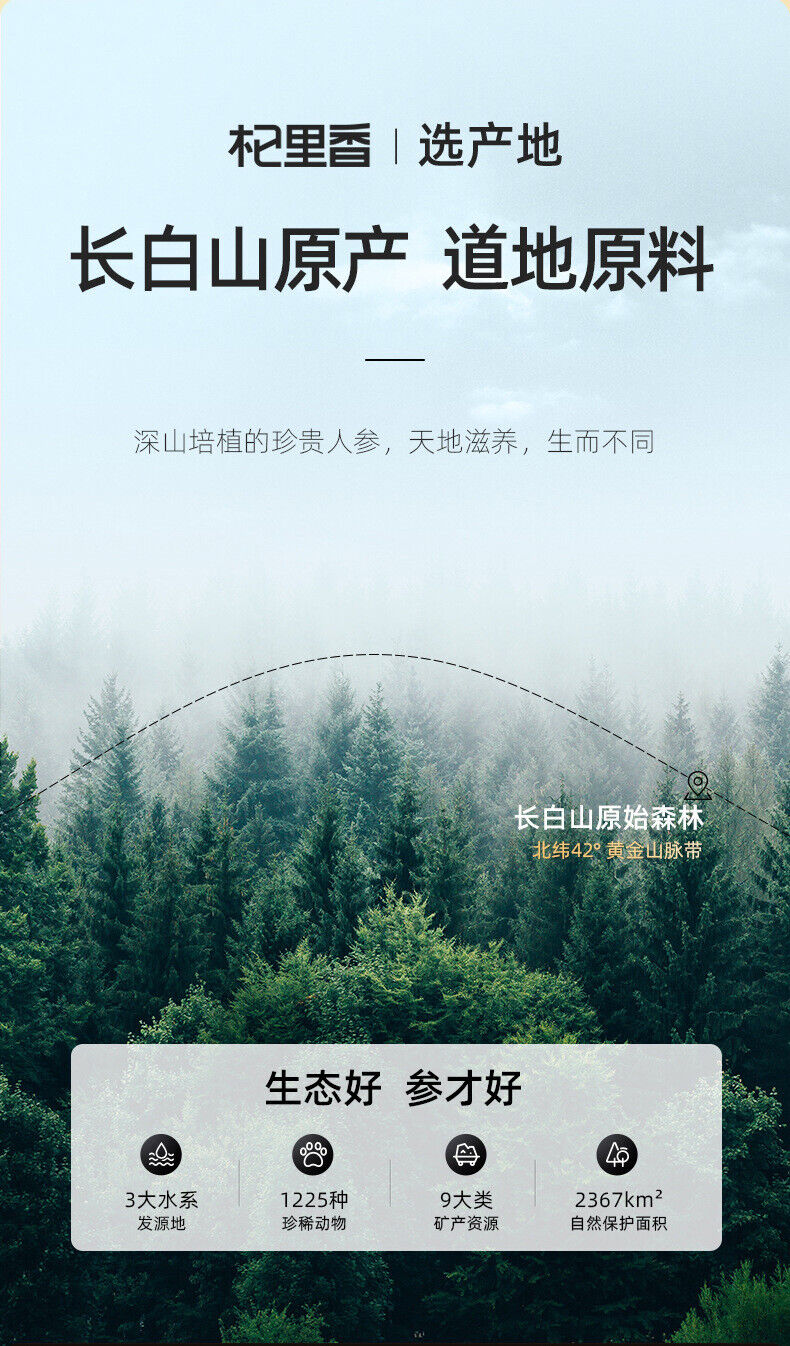 50g Changbaishan 5 Years Ginseng Slices Slice长白山五年人参片