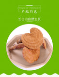 Changbai Mountain Ganoderma Lucidum Red Lingzhi Purple Lingzhi Edible Fungi 500g