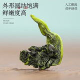 Authentic Anxi Tie Guan Yin Oolong Tea Premium Strong Orchid Aroma