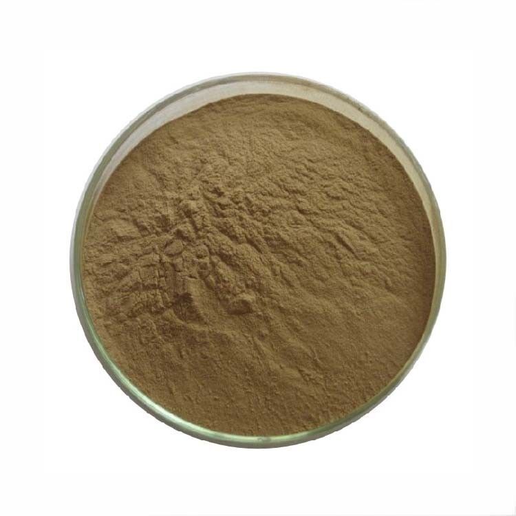 100g Gymnema Sylvestre Extract Powder 10:1 Blood Sugar Control Main image