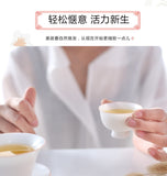 Water Retention Relief Health Tea Whitegrass Root UTI Tea for Urinary Pain Detox