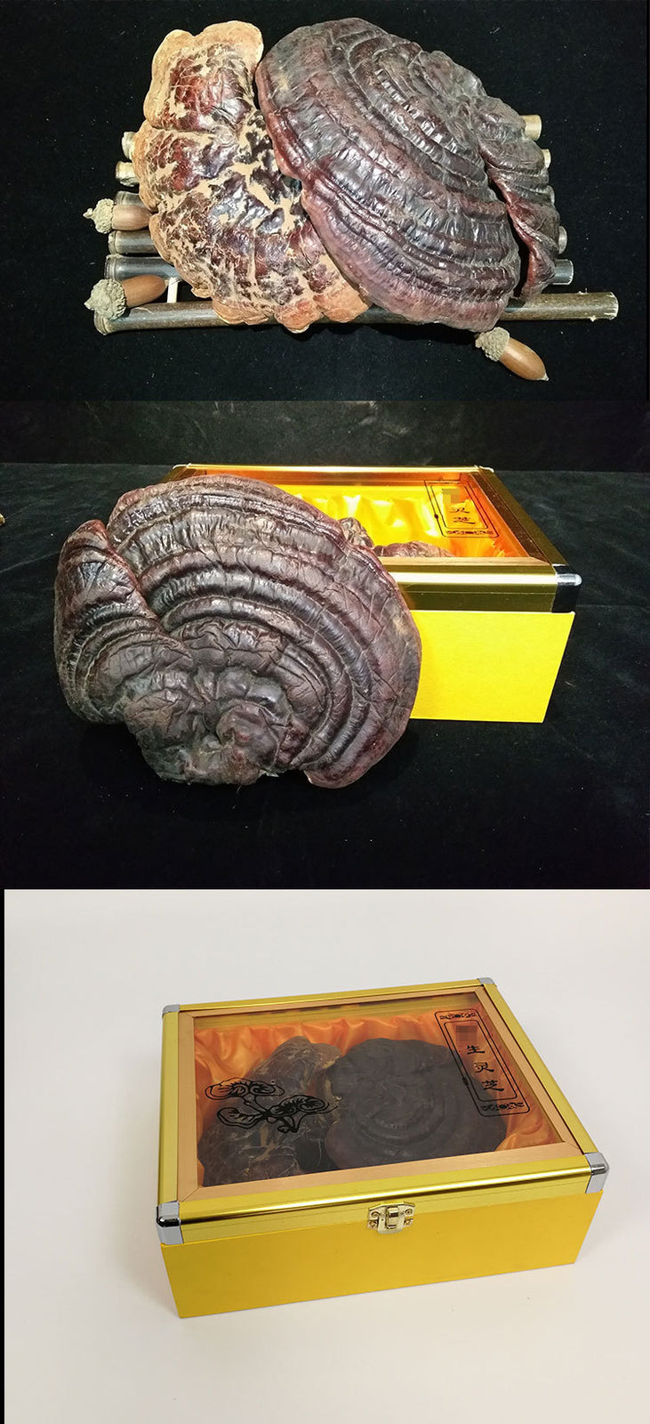 Black and Purple Reishi Mushroom Gift Box Whole Stem Ginseng