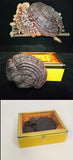 Black and Purple Reishi Mushroom Gift Box Whole Stem Ginseng