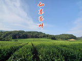 2023 New Tea Longjing Crushed Tea Loose Tea Pieces Green Tea Crushed 500g/1.1lb