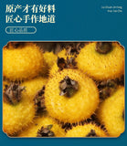 Dried Prickly Pear Fruit 100g Dried Fresh Prickly Pear Fruit in Water and Tea