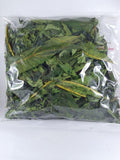 Dried Papaya Leaf Herbal Tea Made from Whole Leaves for Wellness and Digestion