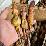 Huile de crapaud Huile de fil de grenouille des neiges Grenouille des forêts 50g