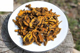 High Quality/黄莲/黄连/Huang Lian/Rhizoma Coptidis Goldthread /Dried 150g