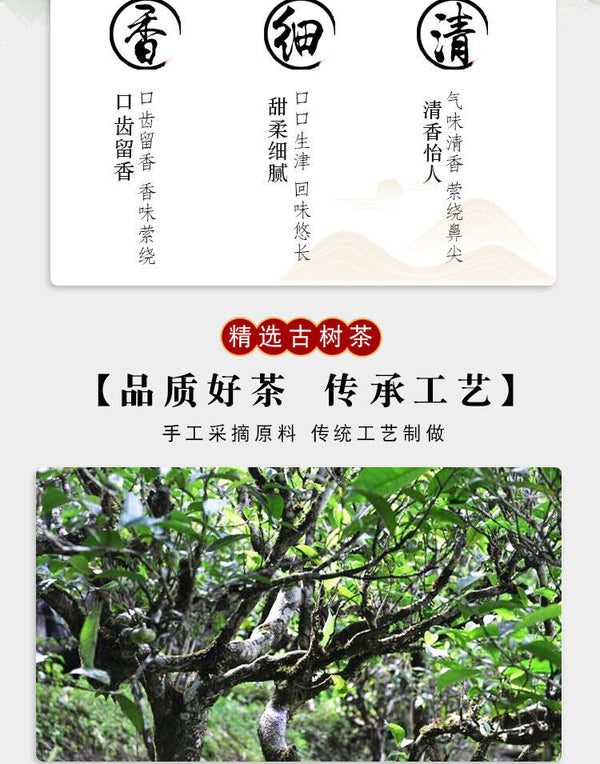 Yunnan High Mountain Old Ancient Tree White Tea Cake 357g Tea Sun White Tea