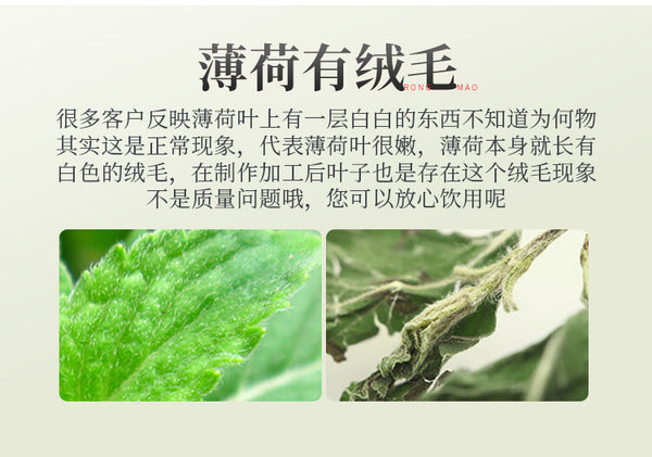 Dried Refreshing Tea Healthy Drink Organic Natural Mint Leaves