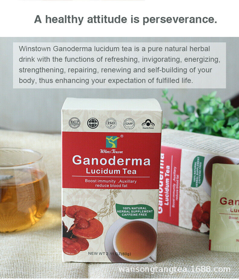 Export Ganoderma Lucidum Tea To Reduce High Blood Lipids